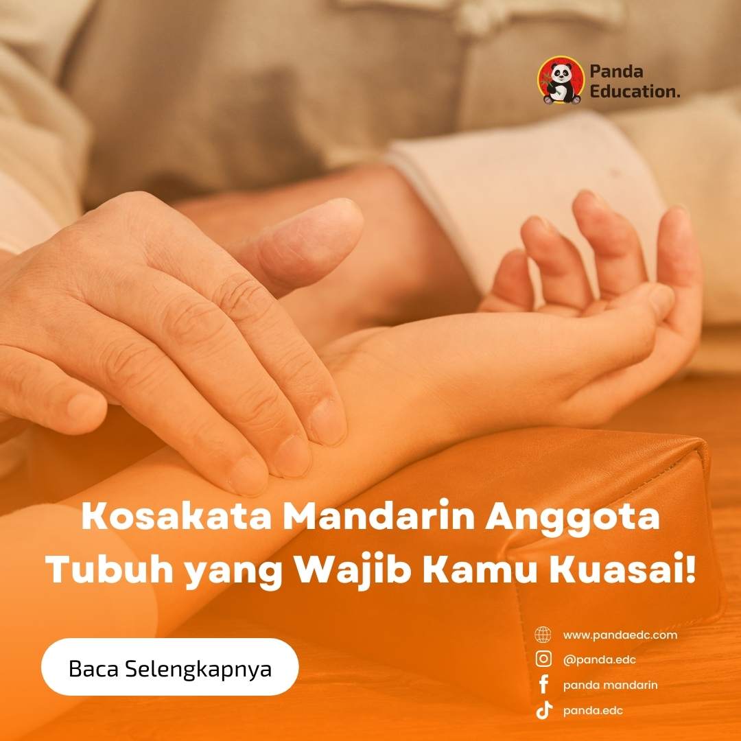 Kosakata Mandarin Anggota Tubuh yang Wajib Kamu Kuasai! Kursus Bahasa Mandarin Panda Edc